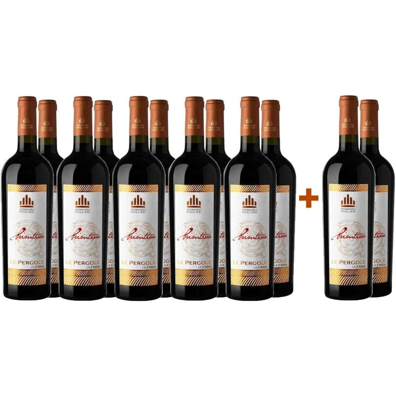 VignaioliPugliesi10+2PaketLePergolePrimitivoPugliaIGP