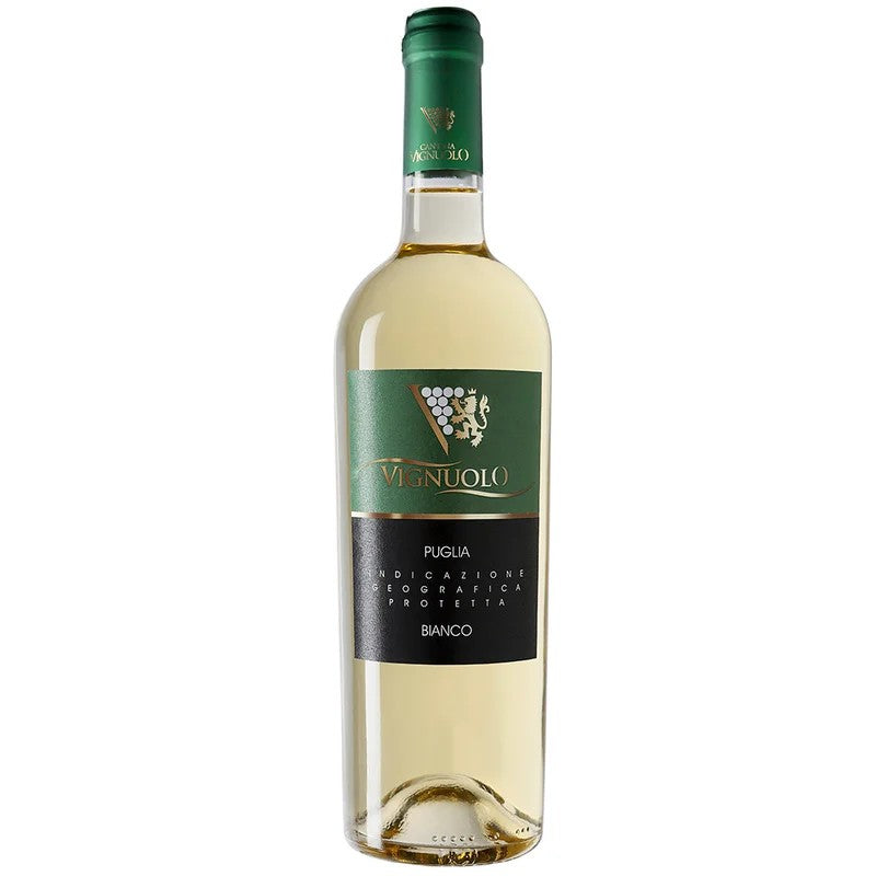 Vignuolo–CantineTorrediBocca2024BiancoPugliaIGPtrocken