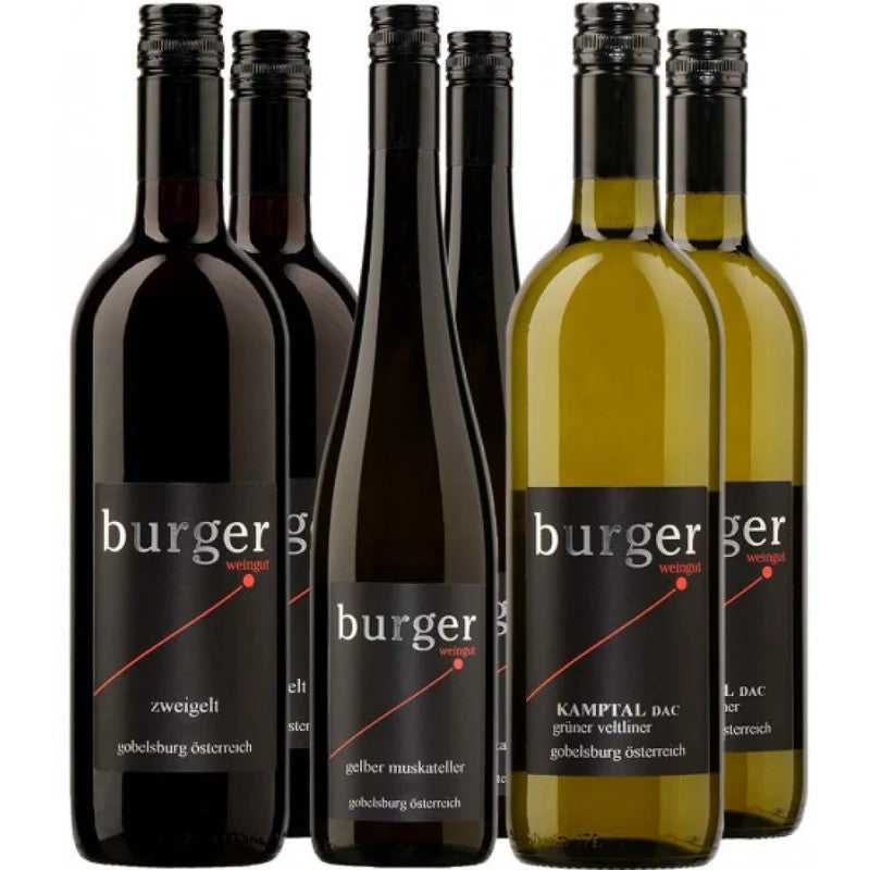 Weingut&RebschuleBurgerBurgerKleinesKennenlern-Paket