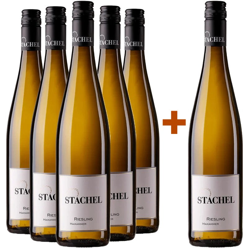 WeingutErichStachel5+1PaketRieslingMaikammertrocken