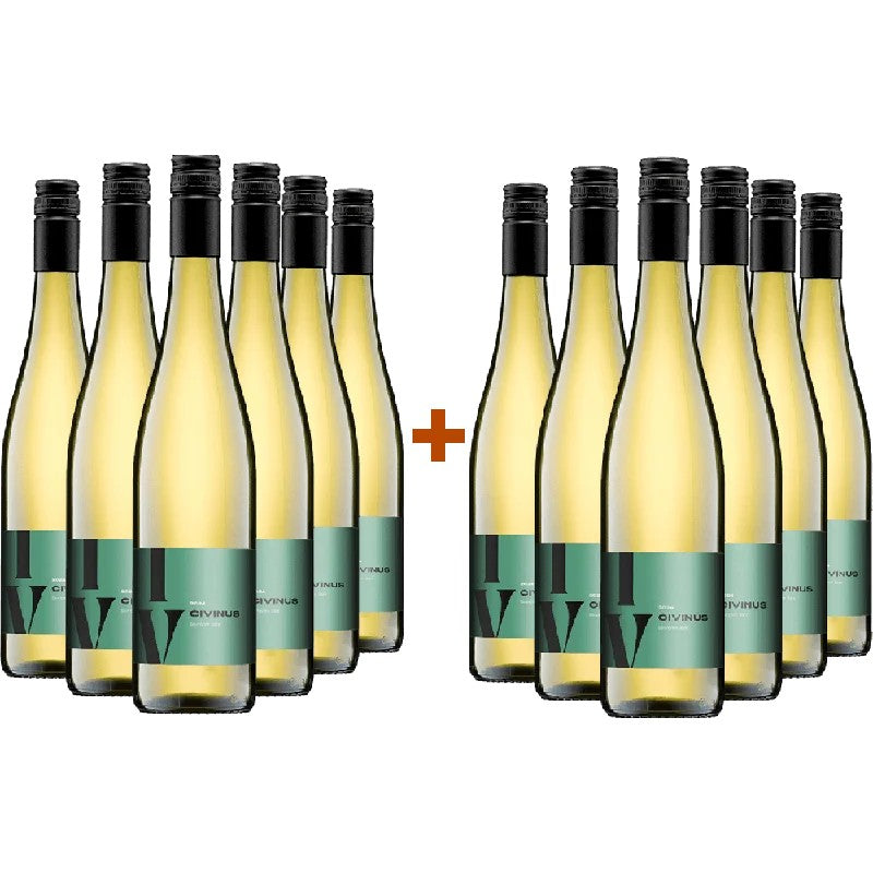 WeingutFranz6+6CivinusSauvignonBlancBIO