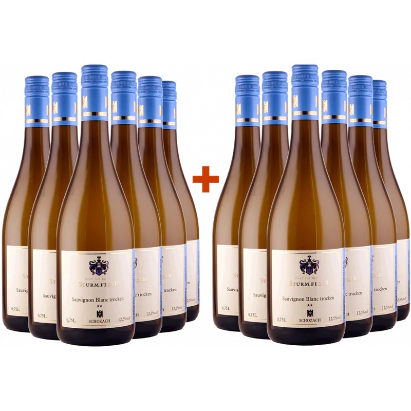 WeingutGrafvonBentzel-Sturmfeder6+6PaketSauvignonBlanc**VDP.Ortswein