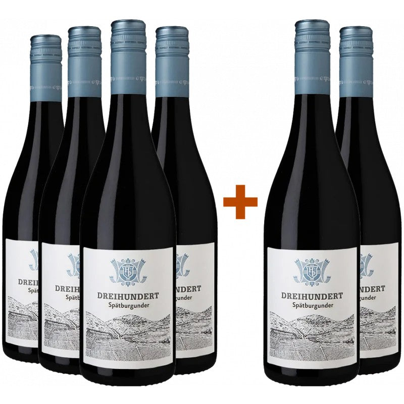 WeingutHahnPahlke4+2PaketDreihundertSpätburgunder