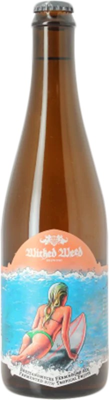 WickedWeedBrewing–Metatropics:Bier-Bewertung&Test–BeerTasting