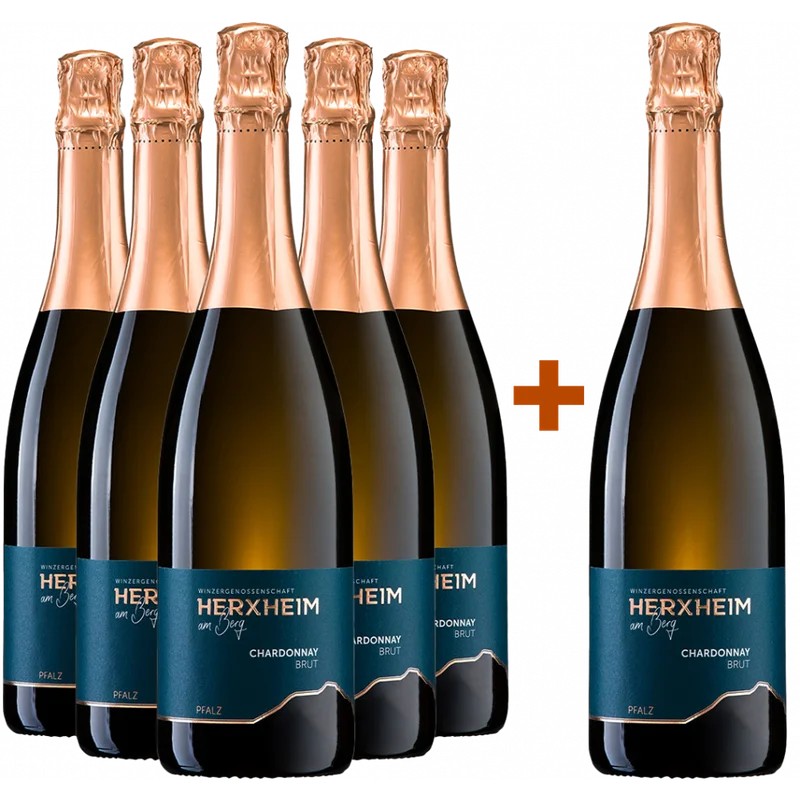 WinzergenossenschaftHerxheimamBerg5+1Paket2023ChardonnaySektbrut