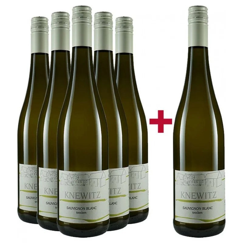 ZehnthofKnewitz5+1SauvignonBlancPaket